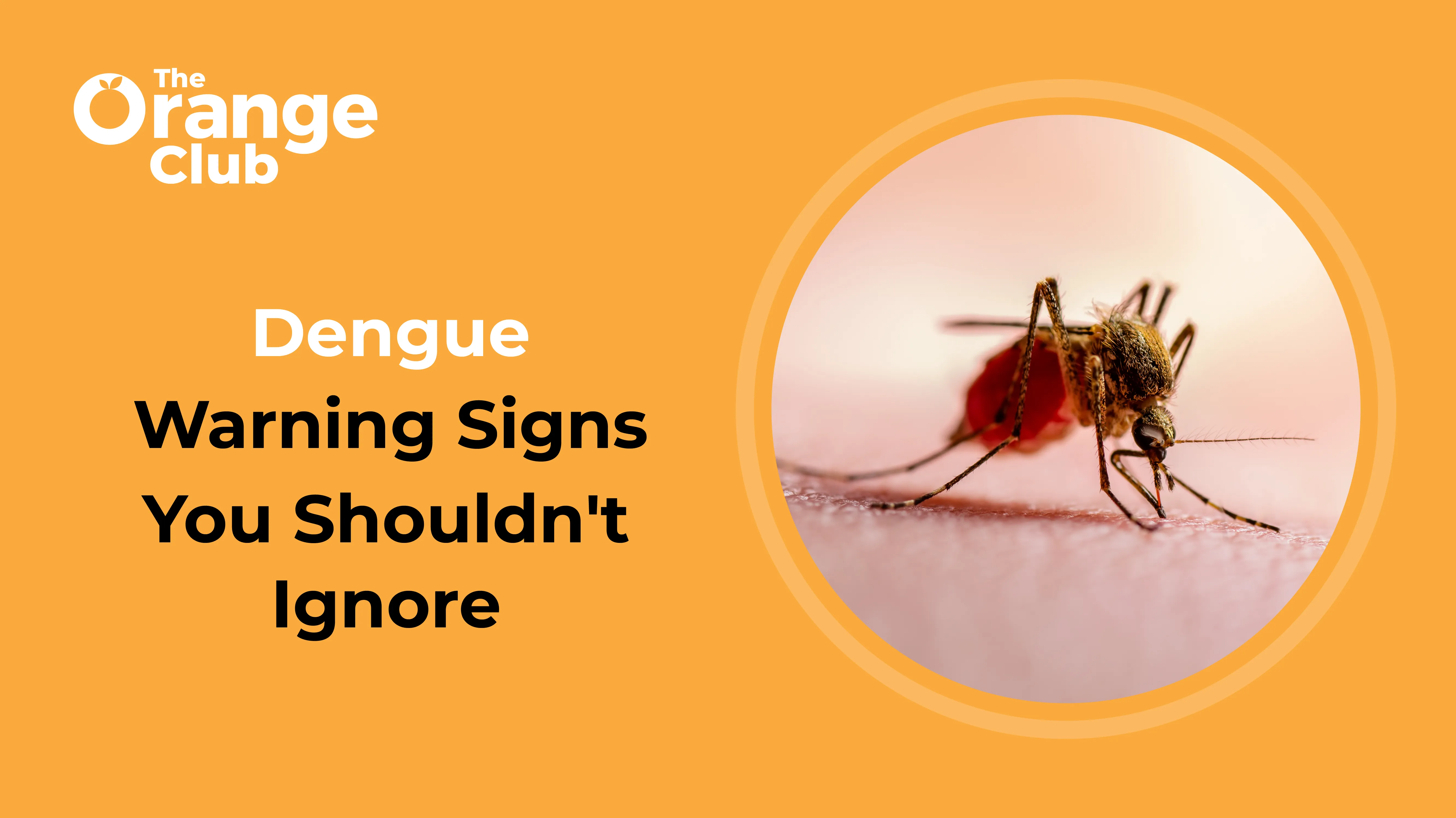 Dengue Signs That You Shouldn’t Ignore